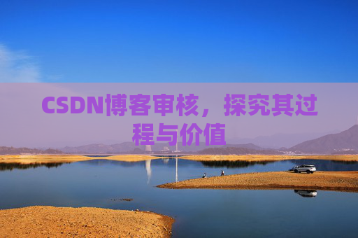 CSDN博客审核，探究其过程与价值