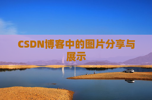 CSDN博客中的图片分享与展示